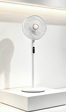Stand Fan